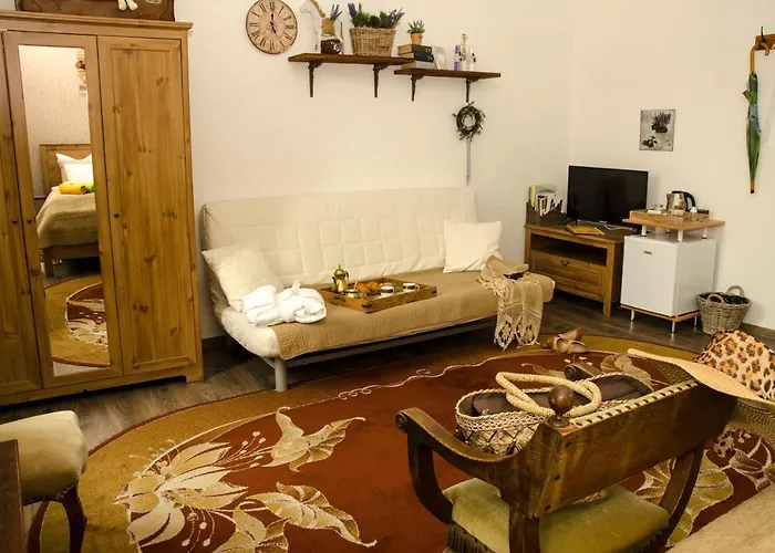 Trubarjev Art Boutique מלון 3*